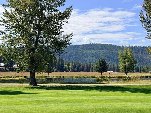 1 Acre of Residential Land for Sale in Seeley Lake, Montana