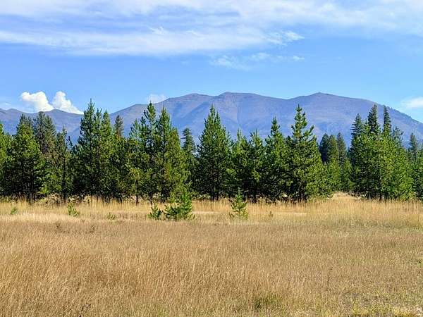 0.5 Acres of Residential Land for Sale in Seeley Lake, Montana