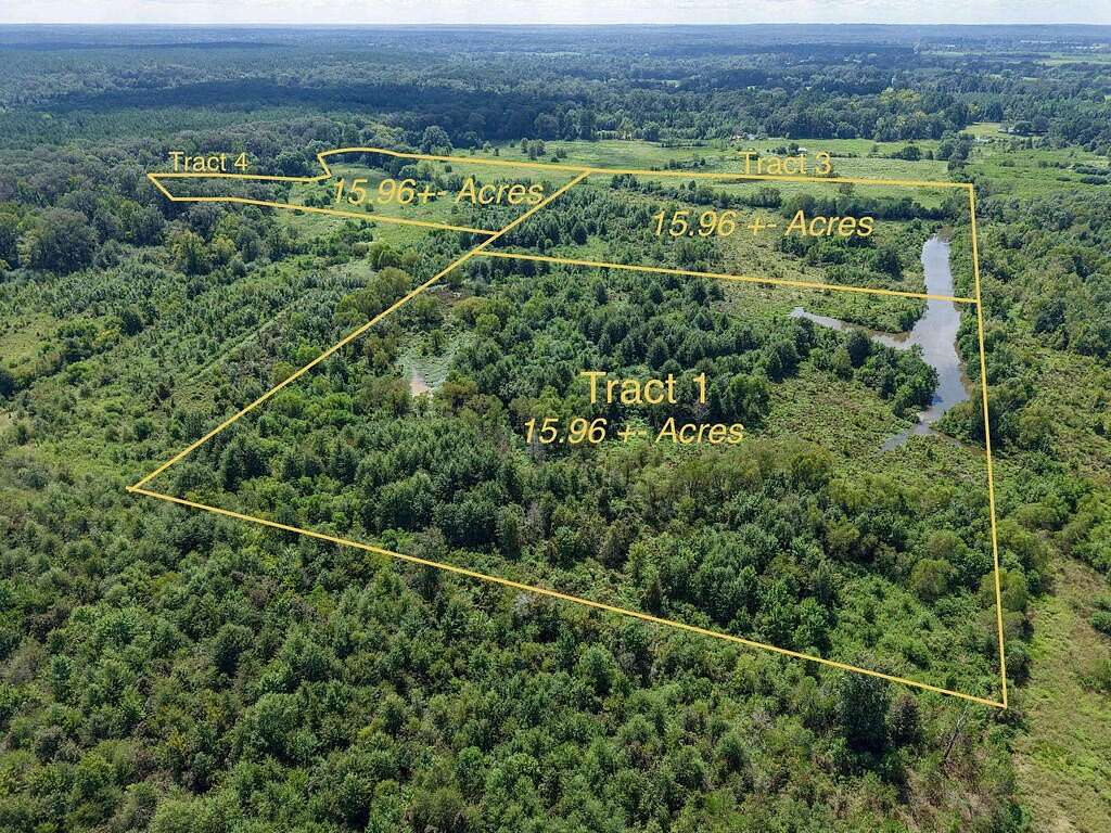 47.9 Acres of Recreational & Residential Land for Sale in Douglass, Texas