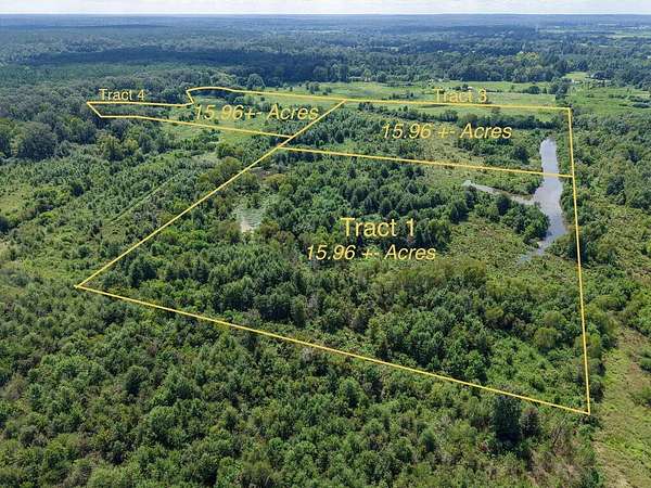 47.9 Acres of Recreational & Residential Land for Sale in Douglass, Texas