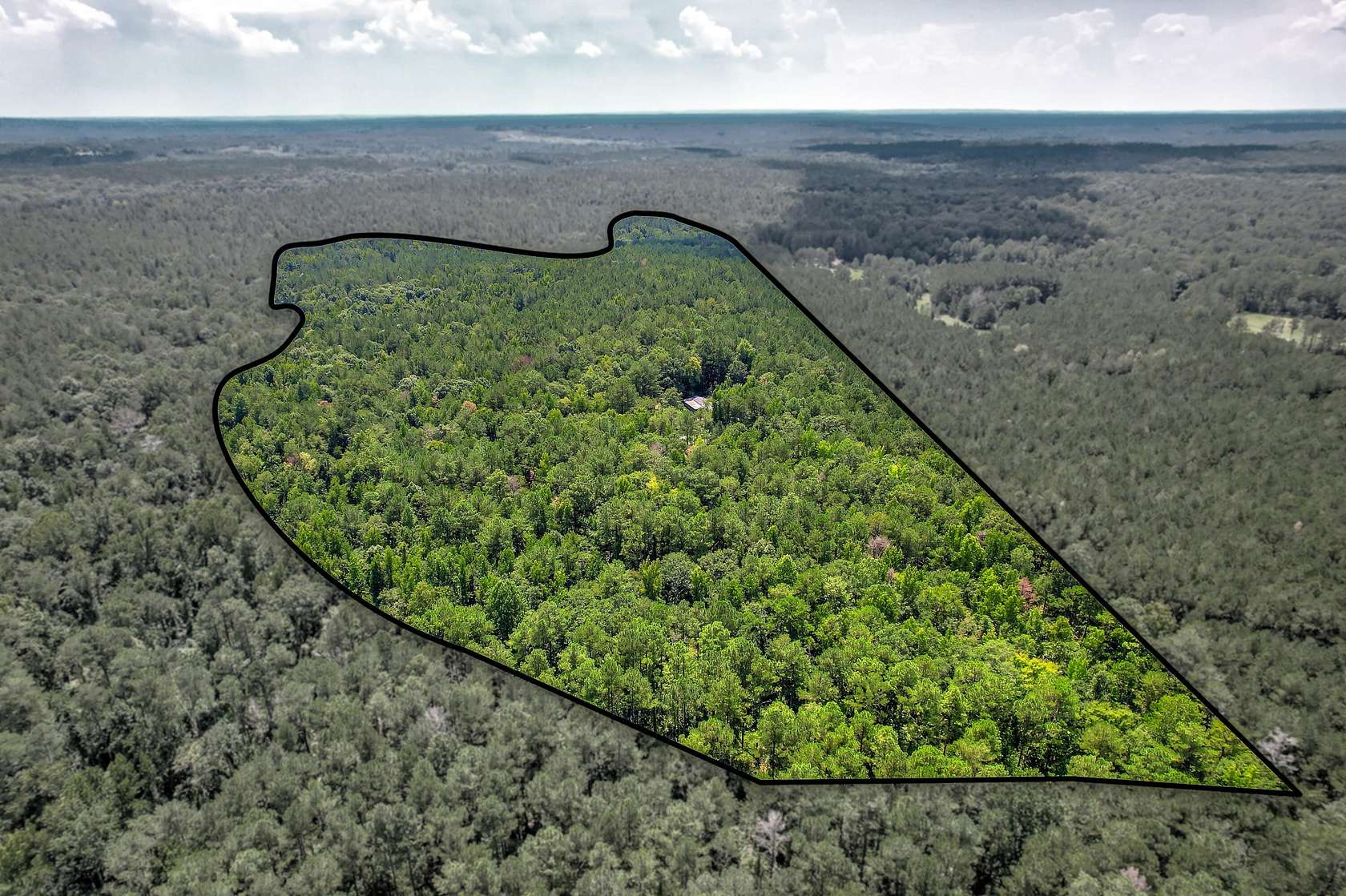 55.4 Acres of Recreational & Residential Land for Sale in Edgefield, South Carolina