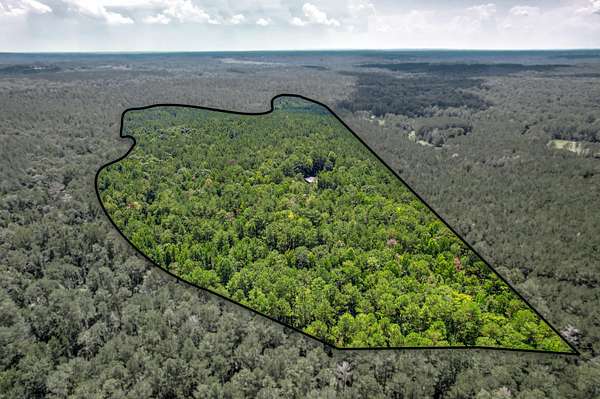 55.4 Acres of Recreational & Residential Land for Sale in Edgefield, South Carolina