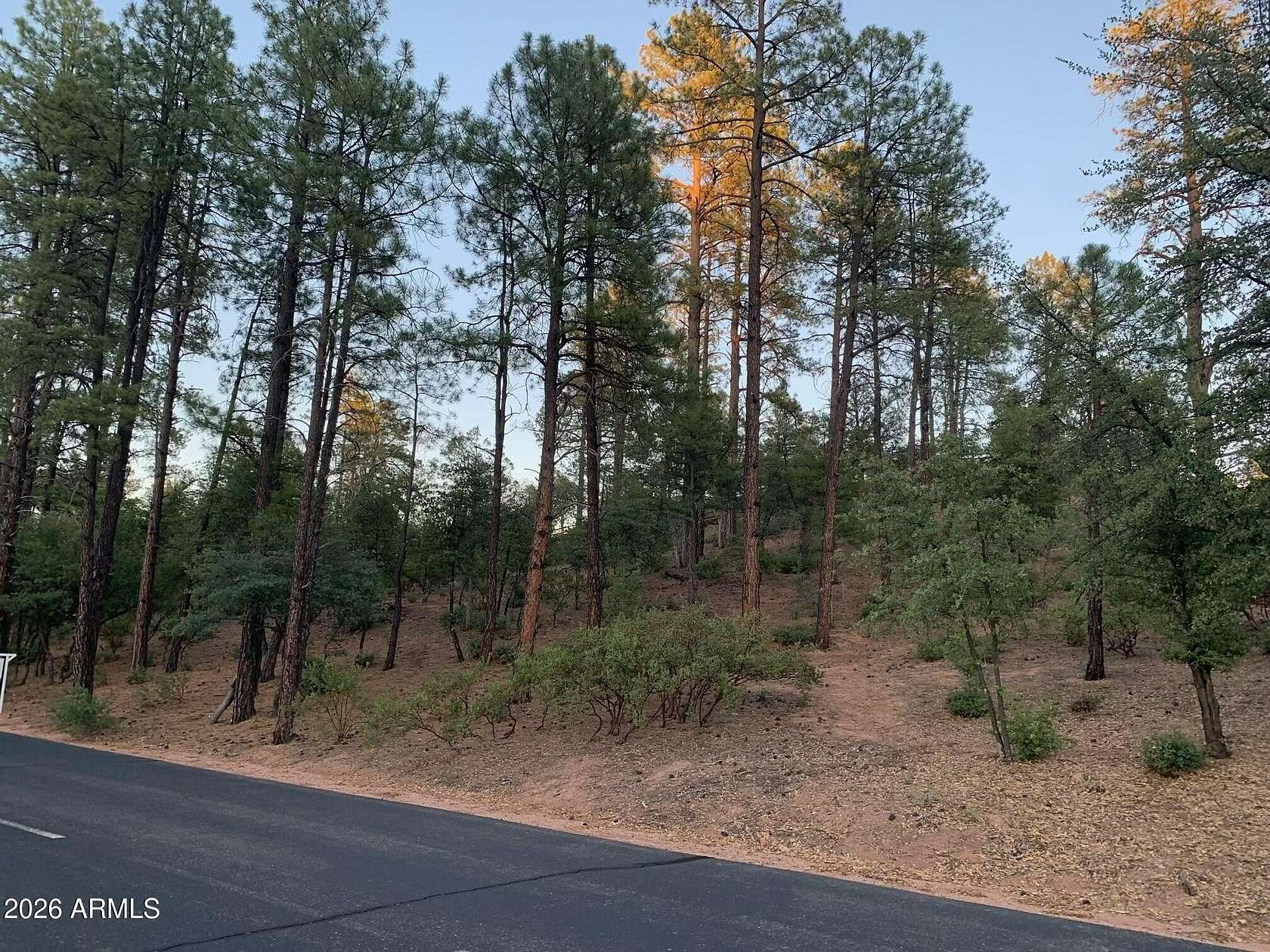 1.1 Acres of Residential Land for Sale in Payson, Arizona