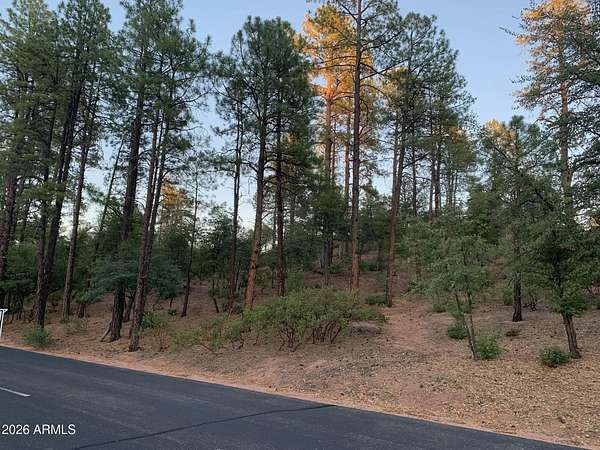 1.1 Acres of Residential Land for Sale in Payson, Arizona