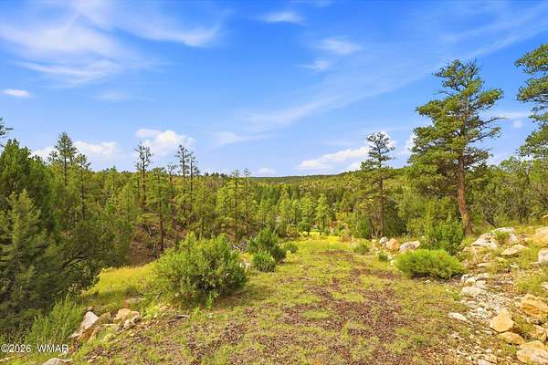 5 Acres of Residential Land for Sale in Heber, Arizona