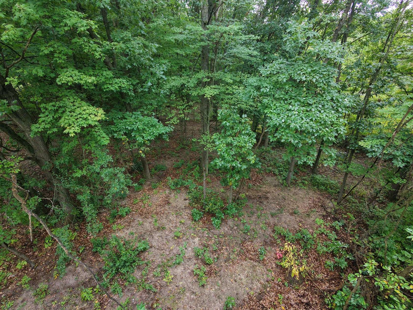 1 Acre of Residential Land for Sale in Gowen, Michigan