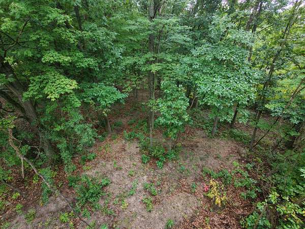 1 Acre of Residential Land for Sale in Gowen, Michigan