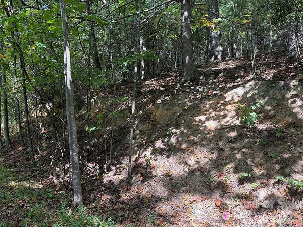 1 Acre of Residential Land for Sale in Waynesville, North Carolina