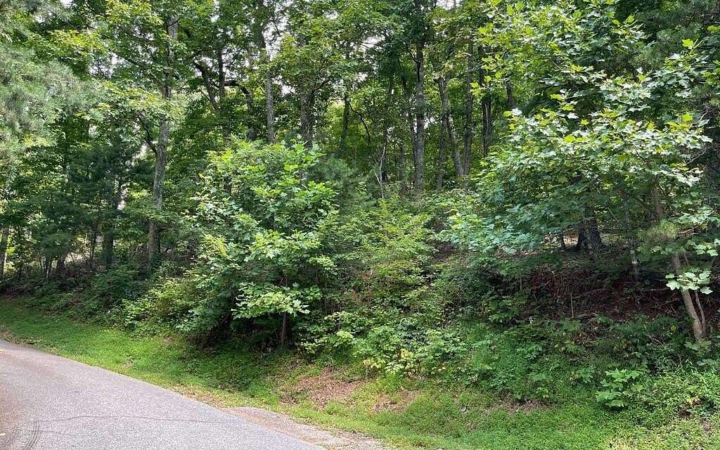 0.48 Acres of Land for Sale in Hiawassee, Georgia