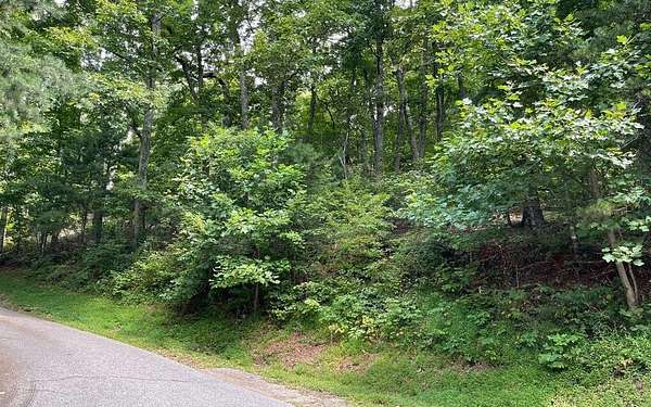 0.48 Acres of Land for Sale in Hiawassee, Georgia