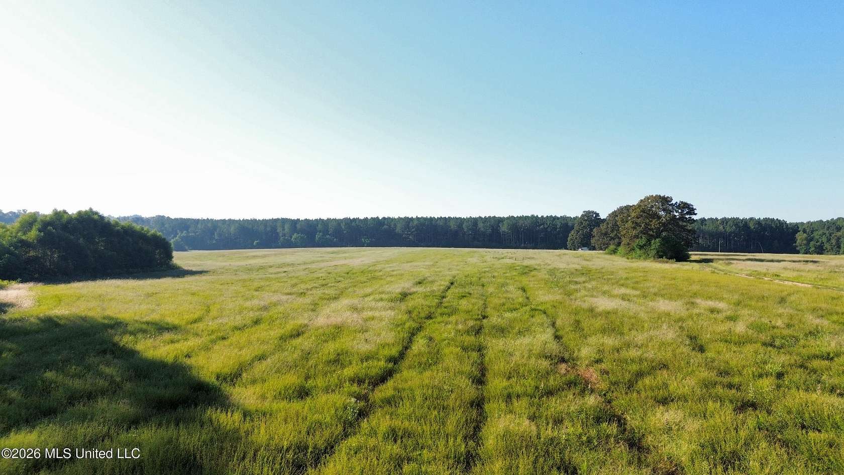 105 Acres of Land for Sale in Florence, Mississippi