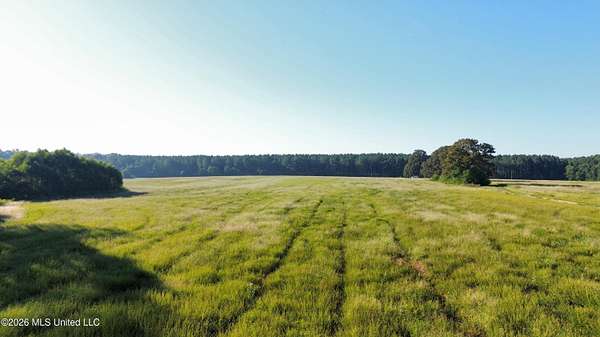 105 Acres of Land for Sale in Florence, Mississippi