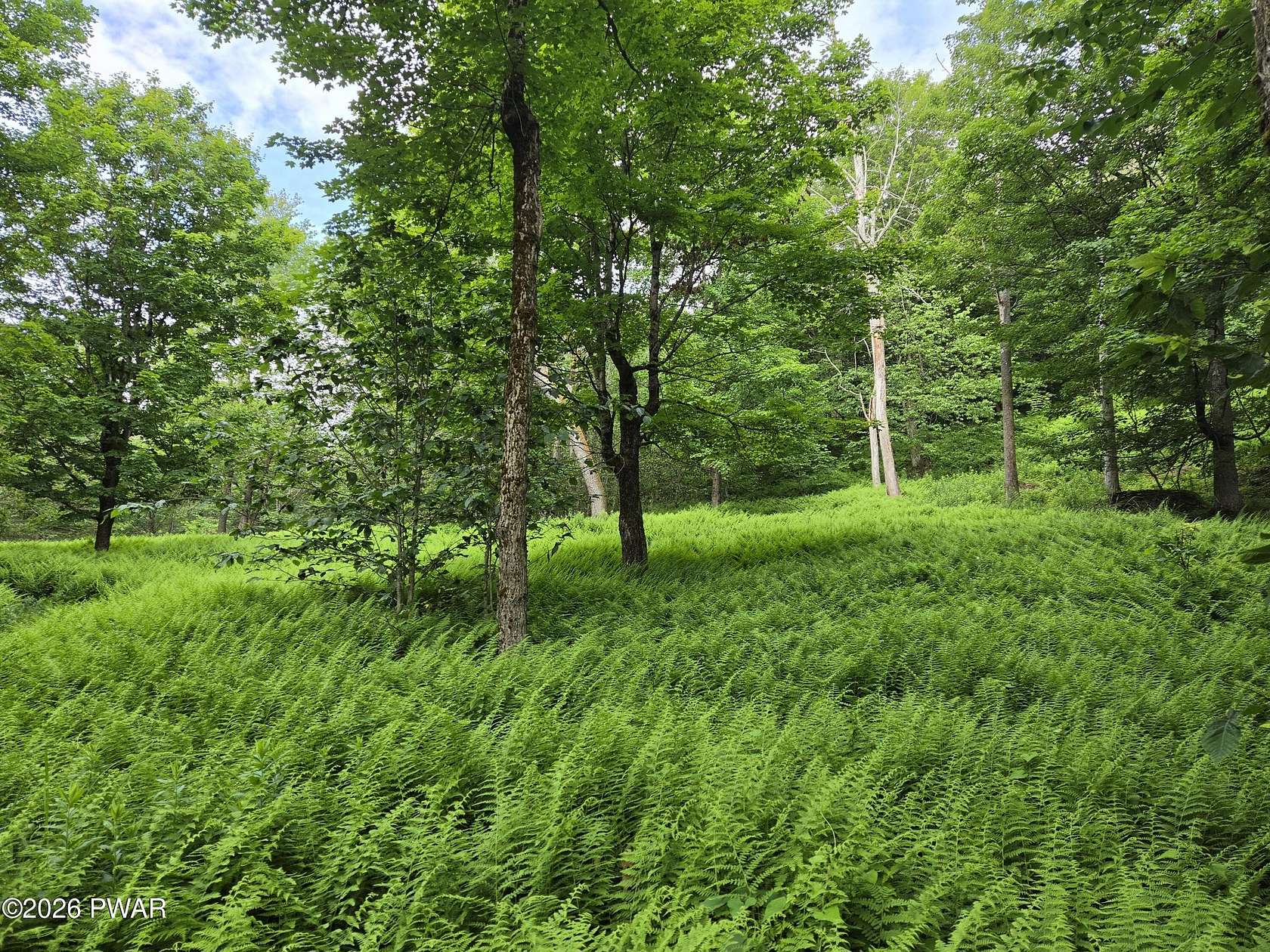 129 Acres of Recreational & Residential Land for Sale in Union Dale, Pennsylvania