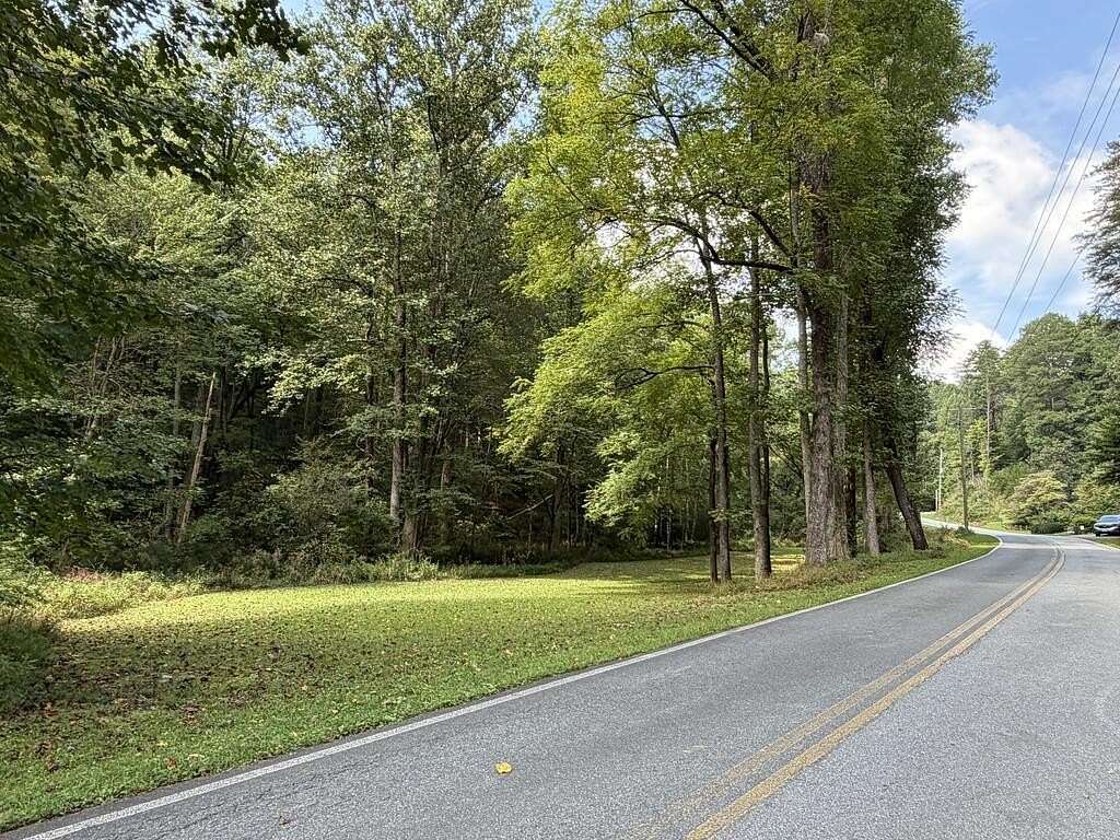 6.13 Acres of Residential Land for Sale in Cherry Log, Georgia