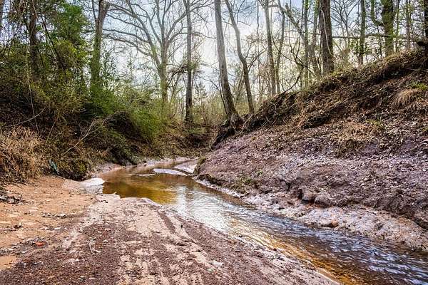 41.6 Acres of Recreational Land with Home for Sale in Palestine, Texas