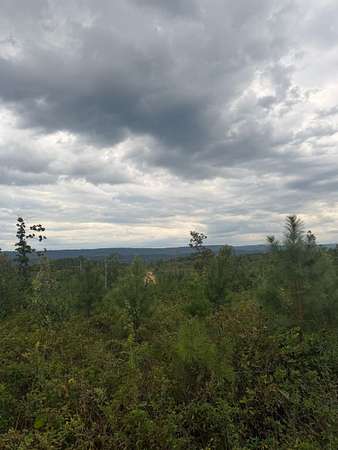 5 Acres of Recreational Land for Sale in Hammondville, Alabama