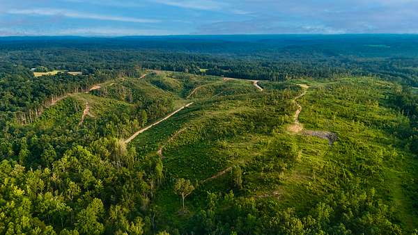 21.1 Acres of Land for Sale in Corinth, Mississippi