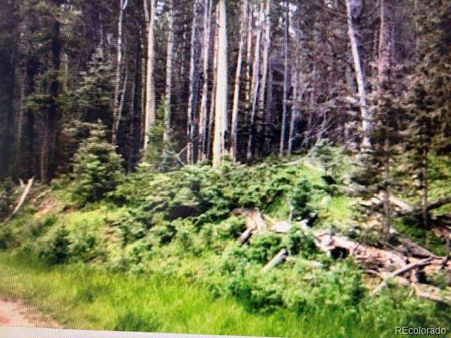 4.34 Acres of Residential Land for Sale in Fort Garland, Colorado