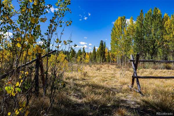 40.2 Acres of Land for Sale in Fairplay, Colorado