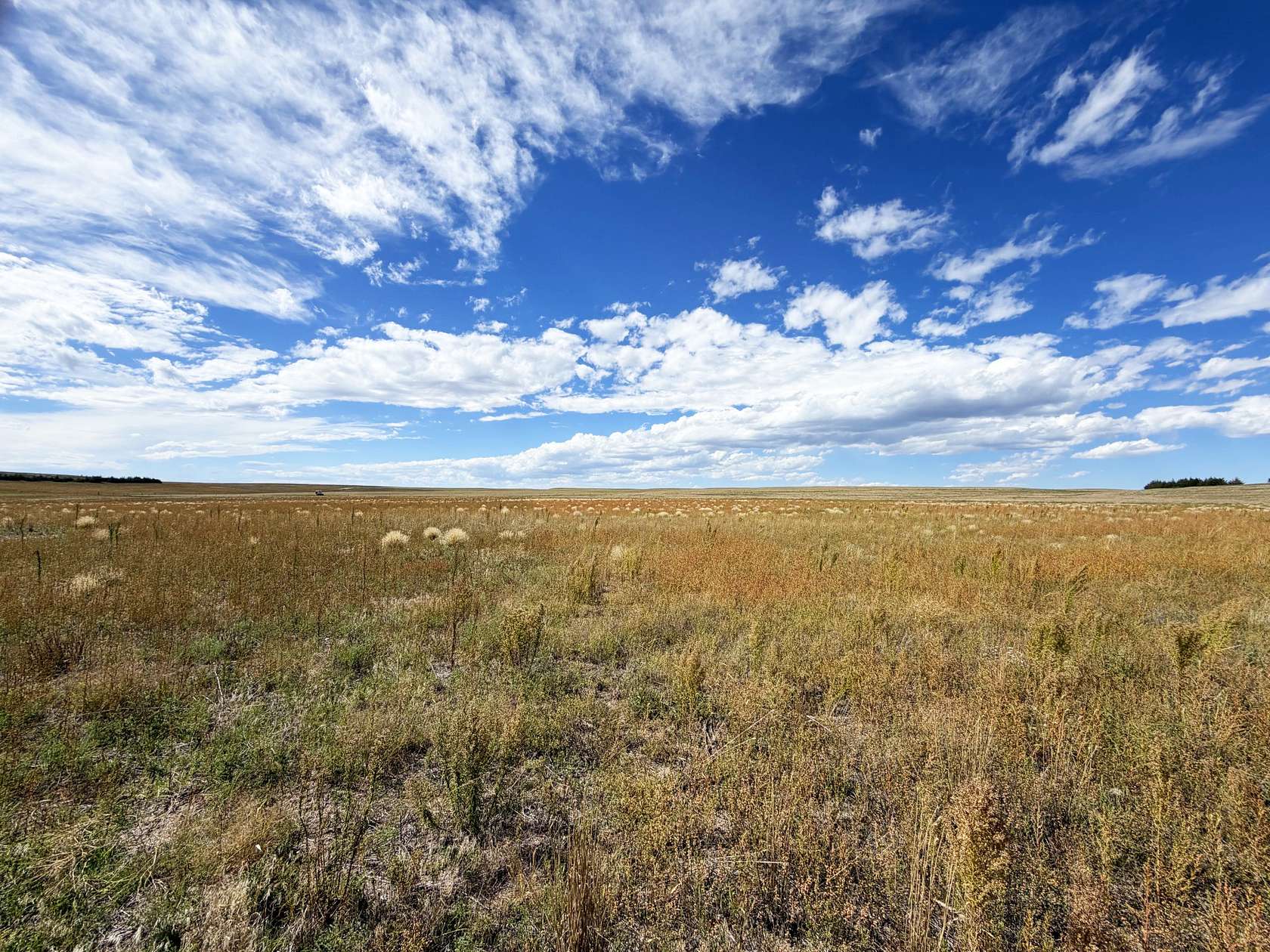 40.5 Acres of Recreational Land for Sale in Bushnell, Nebraska