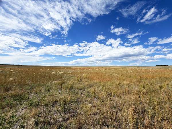 40.5 Acres of Recreational Land for Sale in Bushnell, Nebraska