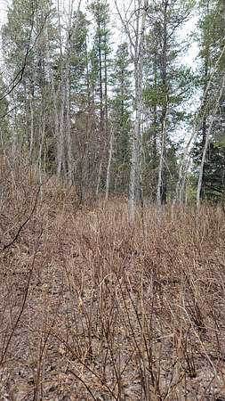 4.5 Acres of Residential Land for Sale in East Glacier Park, Montana