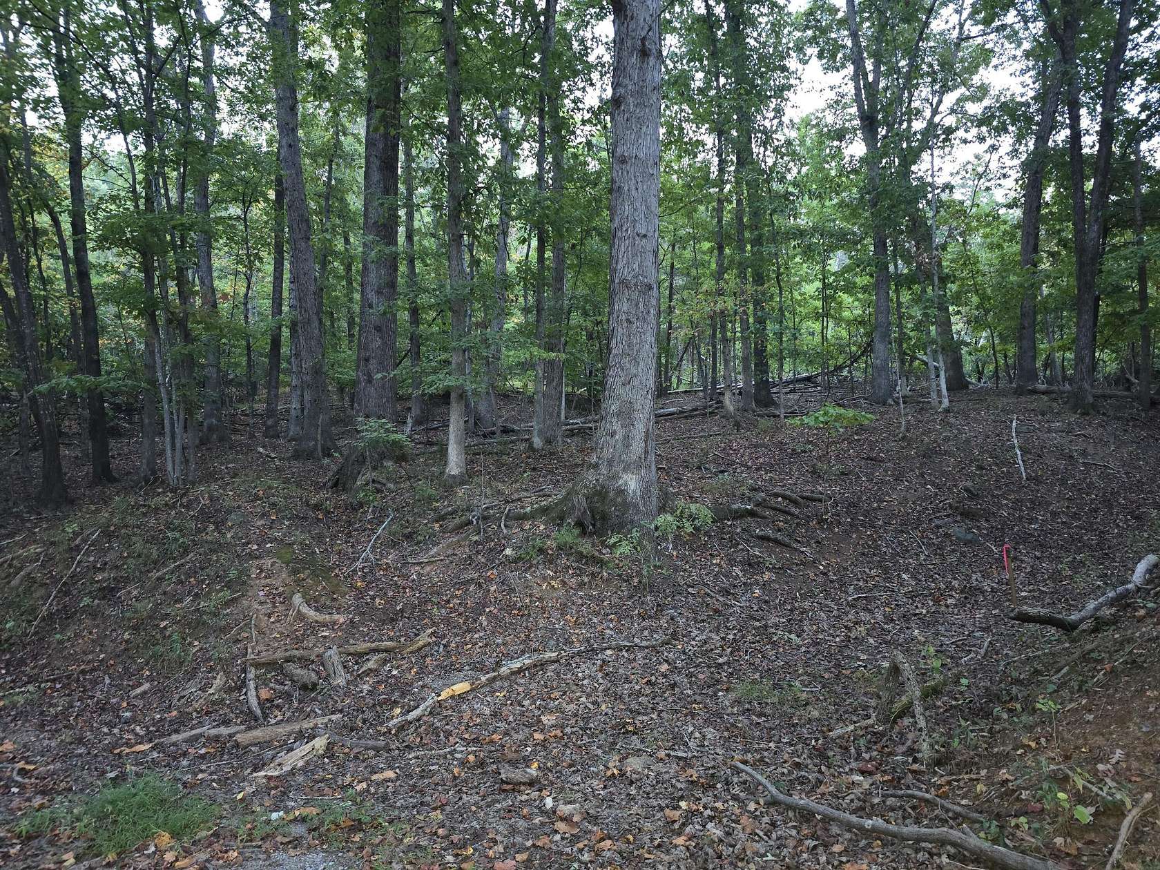 17.4 Acres of Recreational & Residential Land for Sale in Moneta, Virginia