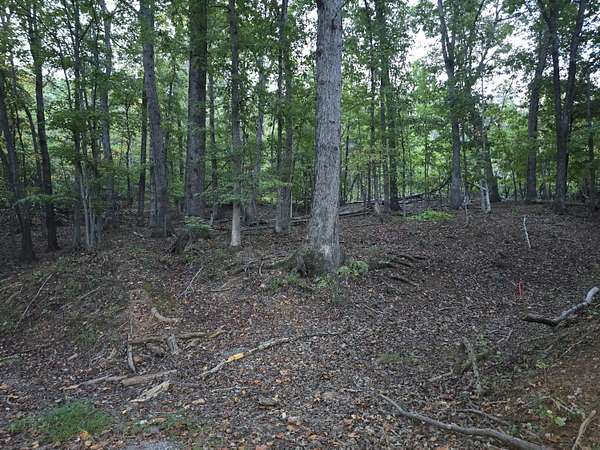 17.4 Acres of Recreational & Residential Land for Sale in Moneta, Virginia