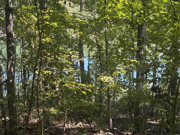 0.44 Acres of Residential Land for Sale in Fairfield Bay, Arkansas