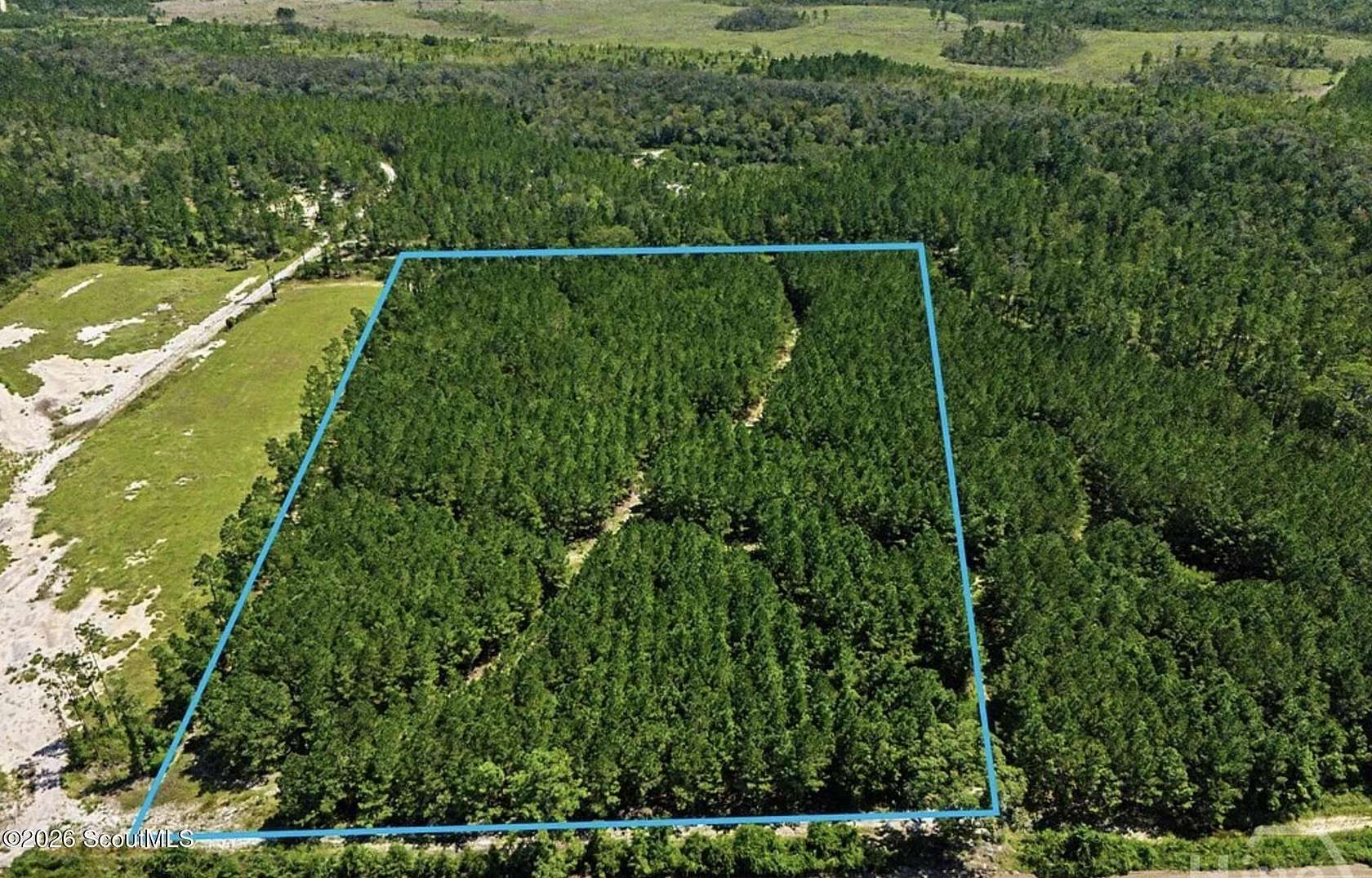 15.6 Acres of Land for Sale in Pembroke, Georgia