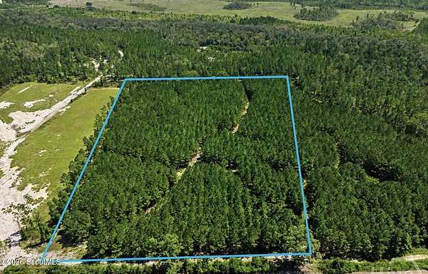 15.6 Acres of Land for Sale in Pembroke, Georgia