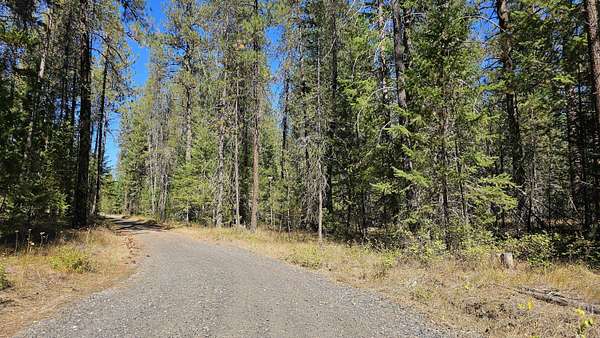 5 Acres of Residential Land for Sale in Loon Lake, Washington