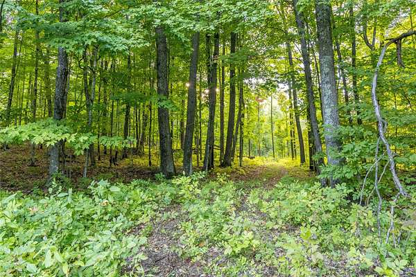38.2 Acres of Recreational Land for Sale in Exeland, Wisconsin