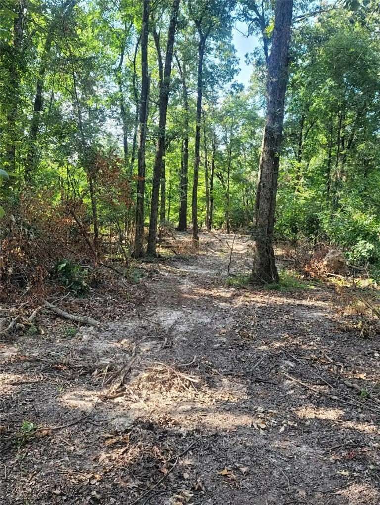 1.37 Acres of Land for Sale in Lincoln, Arkansas