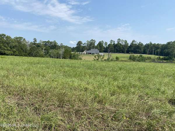 1.5 Acres of Land for Sale in Perkinston, Mississippi