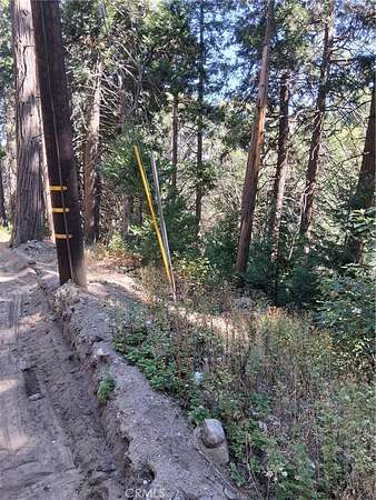 0.14 Acres of Land for Sale in Cedarpines Park, California
