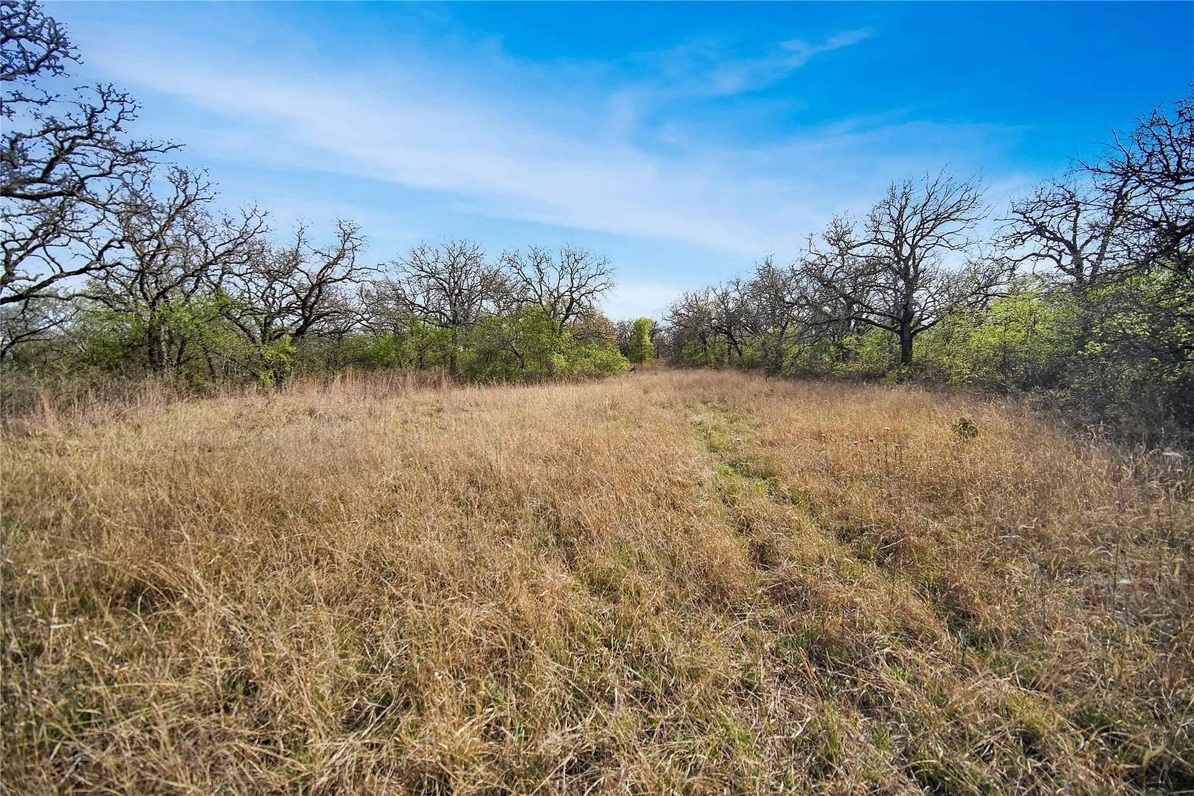 12.4 Acres of Recreational Land for Sale in Jacksboro, Texas