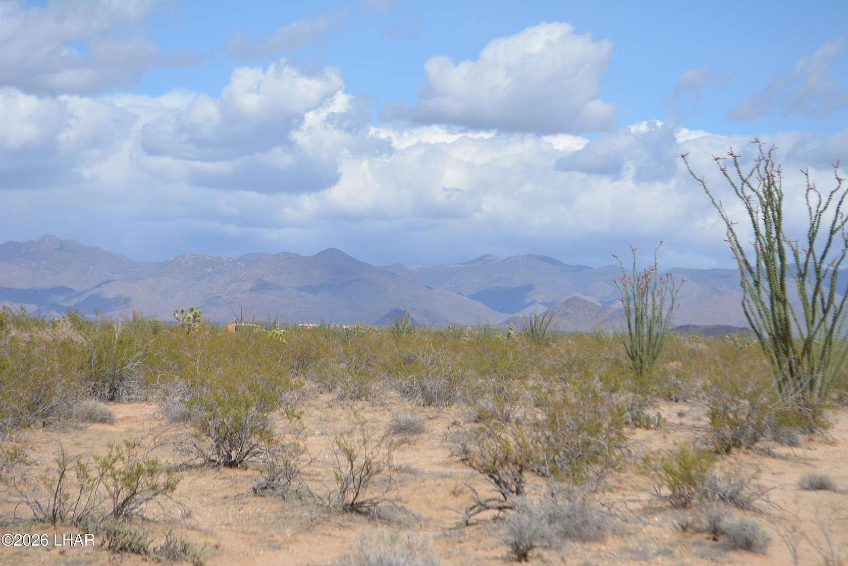 4.2 Acres of Residential Land for Sale in Yucca, Arizona