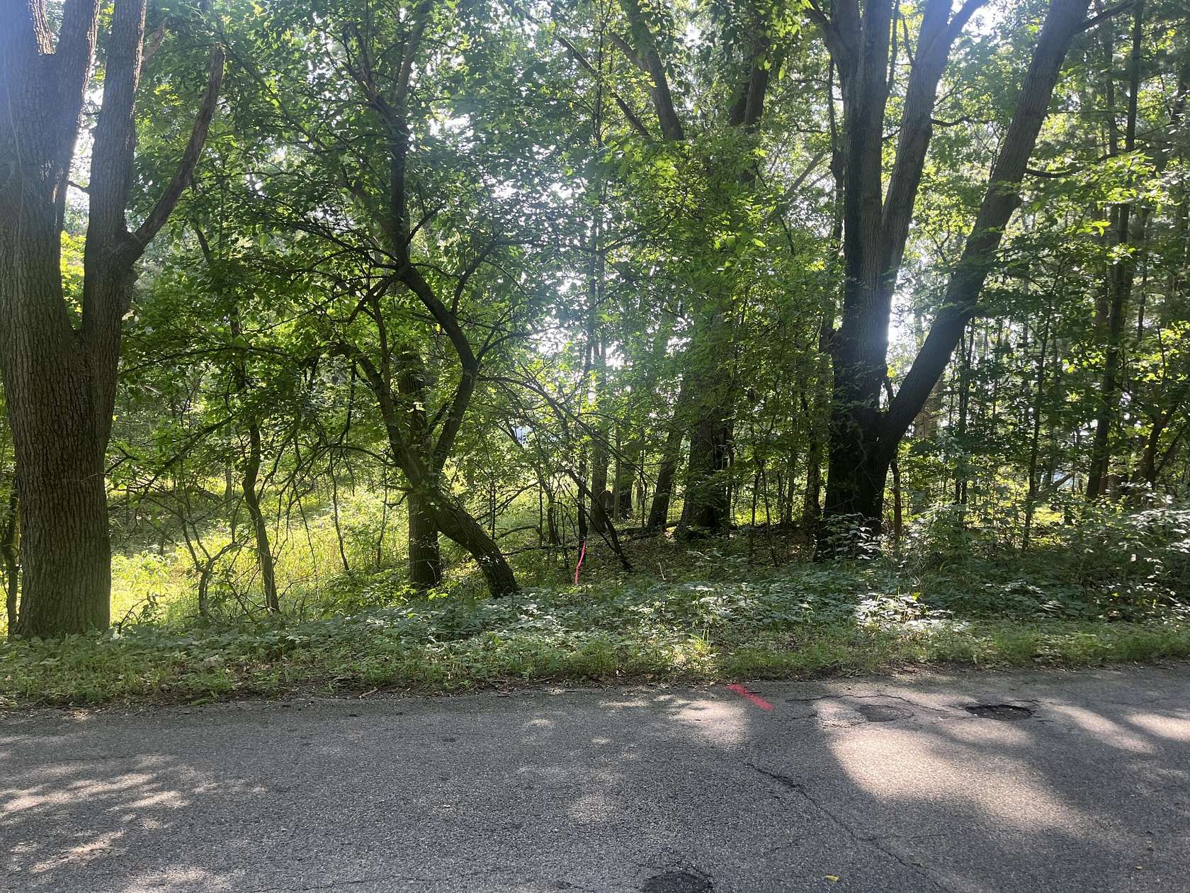 2 Acres of Land for Sale in Rives Junction, Michigan