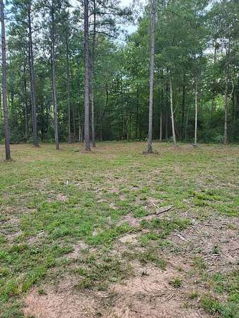 10.1 Acres of Recreational & Residential Land for Sale in Colmesneil, Texas