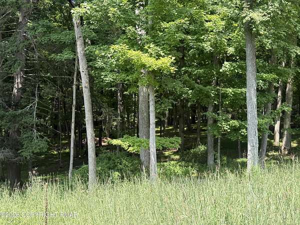 0.37 Acres of Residential Land for Sale in Bushkill, Pennsylvania