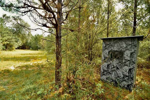 87 Acres of Recreational Land for Sale in Quincy, Florida
