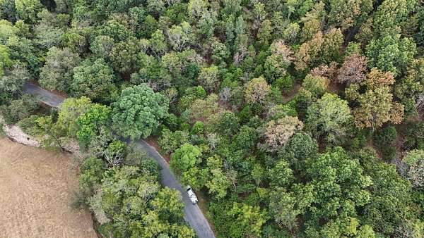 13 Acres of Land for Sale in Highlandville, Missouri