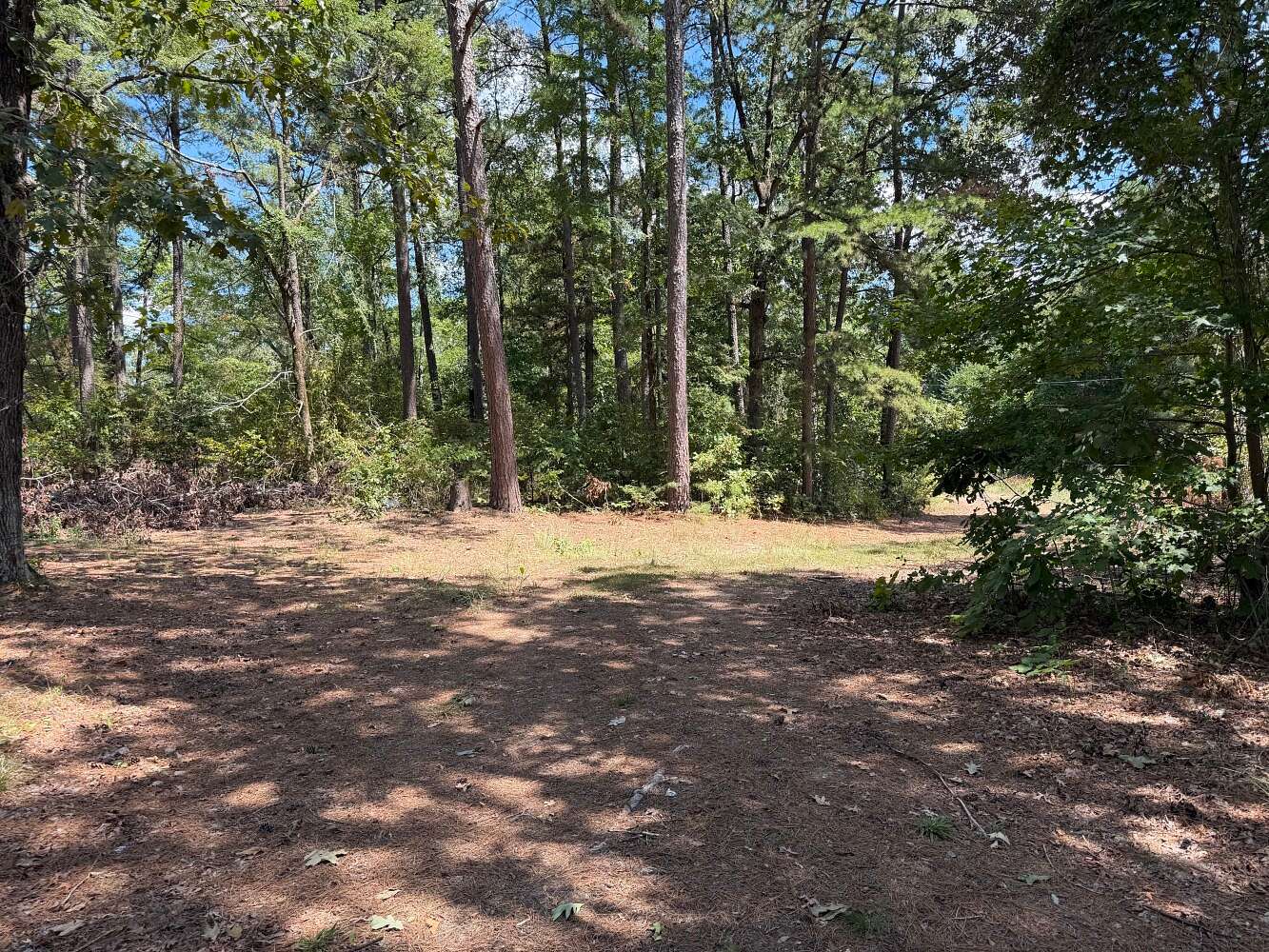 67 Acres of Recreational Land for Sale in Arkadelphia, Arkansas