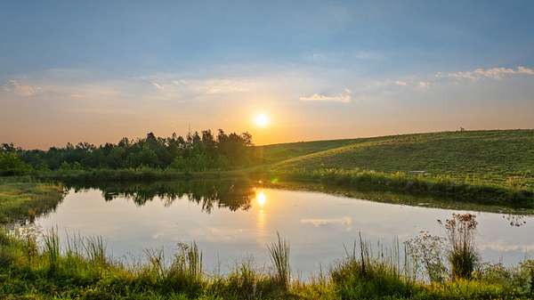 93.4 Acres of Land for Sale in Nunnelly, Tennessee