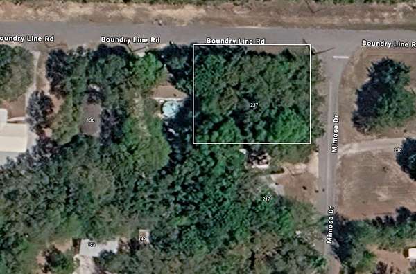 0.31 Acres of Residential Land for Sale in Freeport, Florida