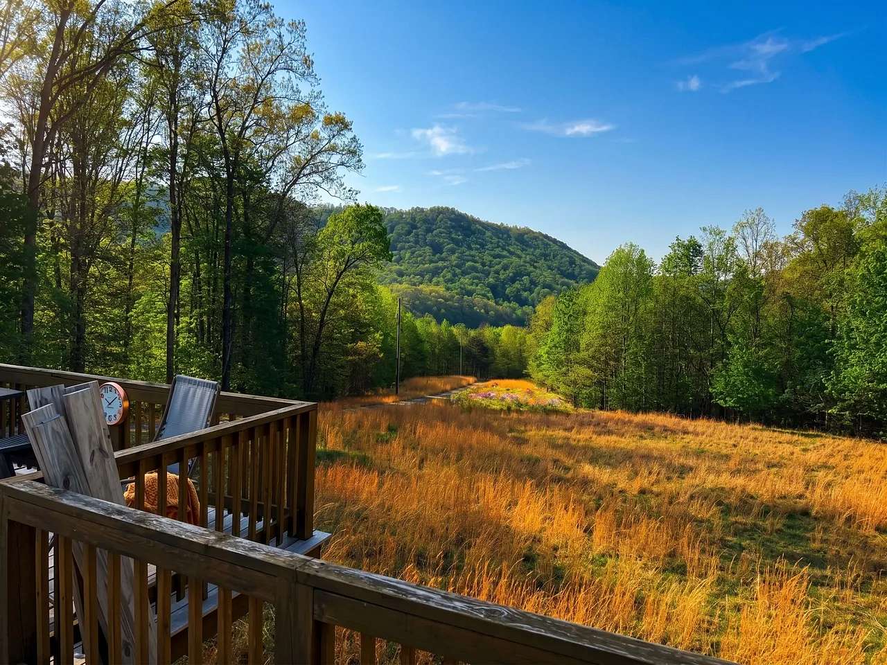 187 Acres of Land with Home for Sale in Saltville, Virginia