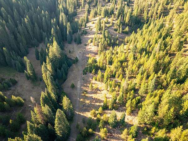 482 Acres of Recreational & Residential Land for Sale in Baker City, Oregon