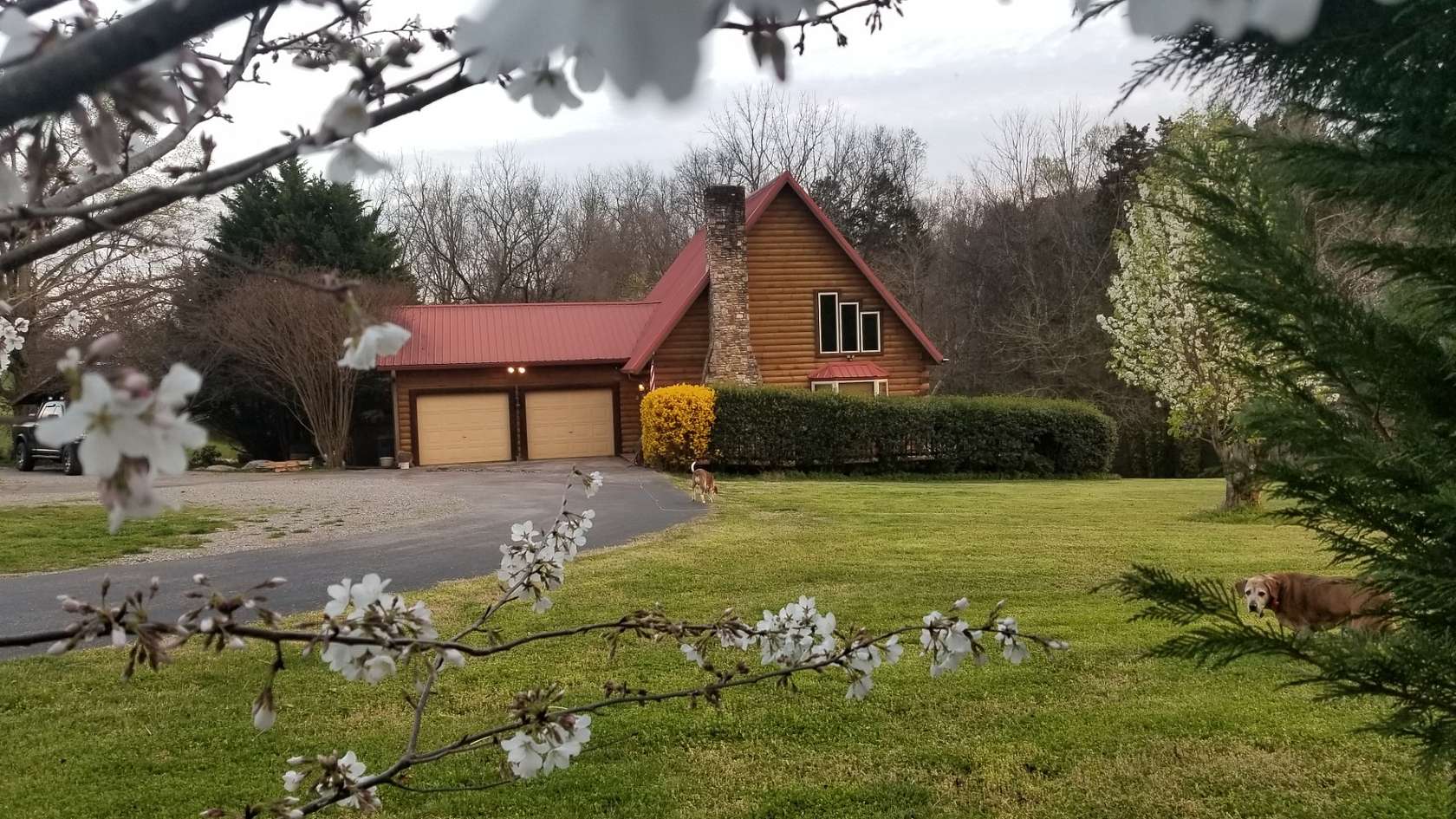 16.7 Acres of Land with Home for Sale in Madisonville, Tennessee