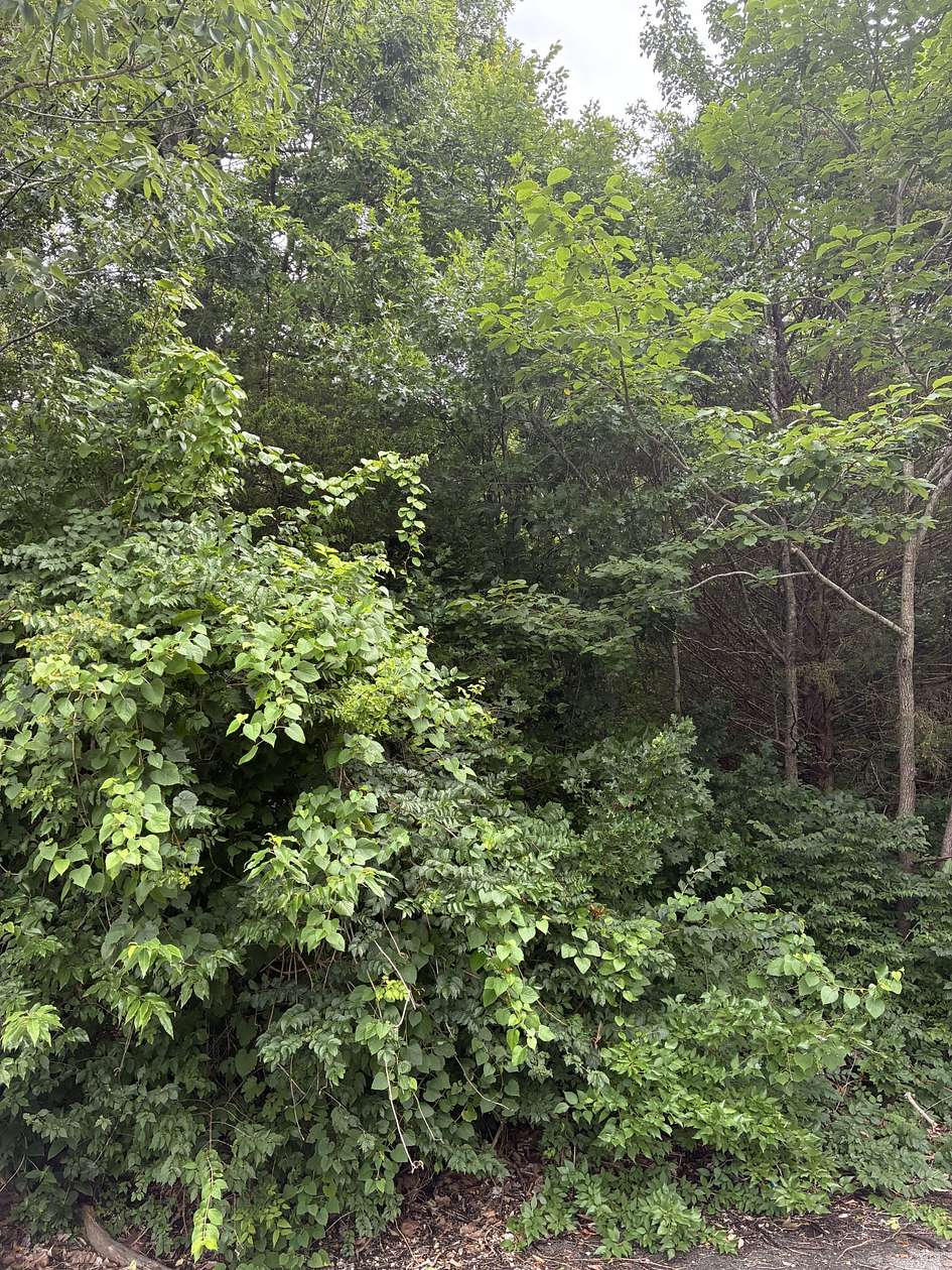 0.41 Acres of Residential Land for Sale in Nashville, Tennessee